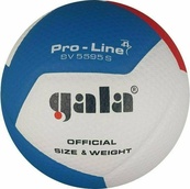 М'яч волейбольний Gala Pro-Line 12 FIVB BV5595S. Зображення №2 М'яч волейбольний Gala Pro-Line 12 FIVB BV5595S. Зображення №2
