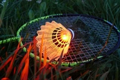 Набір для бадмінтону Talbot Badminton Set Magic Night LED. Зображення №3 Набір для бадмінтону Talbot Badminton Set Magic Night LED. Зображення №3